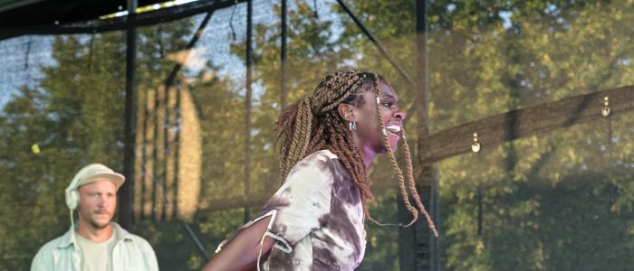 Coerdinale 2024 der Kulturinitiative Coerde am Begegnungszentrum Meerwiese